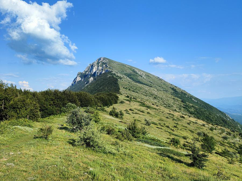 vrh-trem-suva-planina